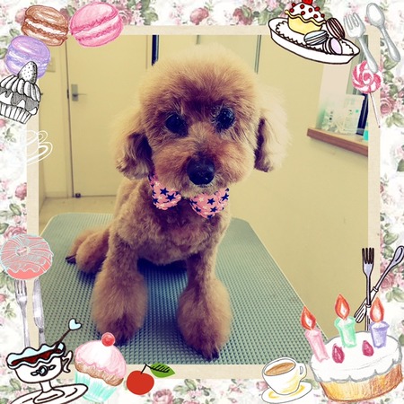 ２月１３日トリミング写真ココ