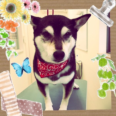 ２月１３日トリミング写真小夏