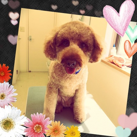 ２月１４日トリミング写真ムック