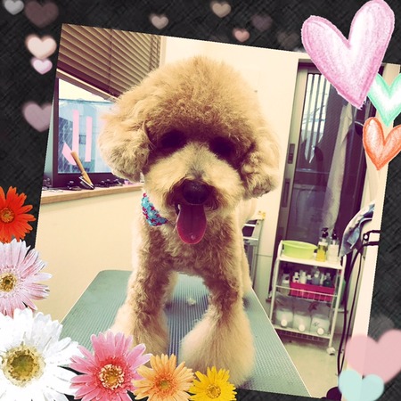 ２月１４日トリミング写真茶太丸