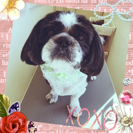 ２月１５日トリミング写真リュウ