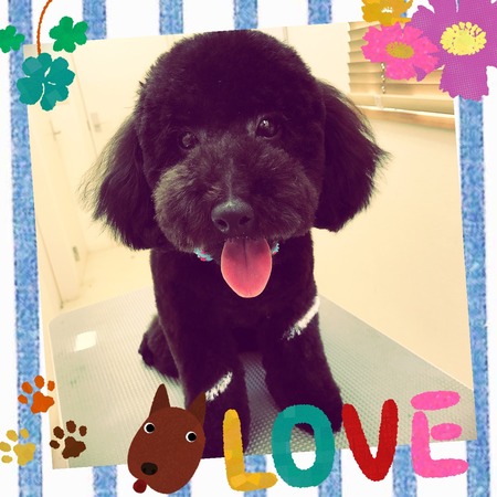 ２月１５日トリミング写真ジェット