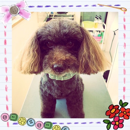 ２月１７日トリミング写真ムサシ