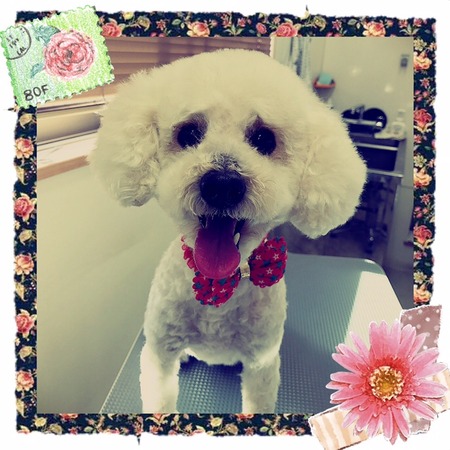 ２月１７日トリミング写真マッシュ