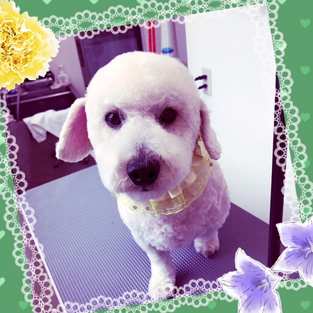 ２月１８日トリミング写真ココア