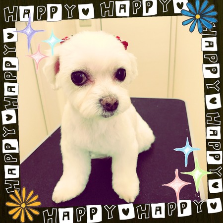 ２月１８日トリミング写真そら