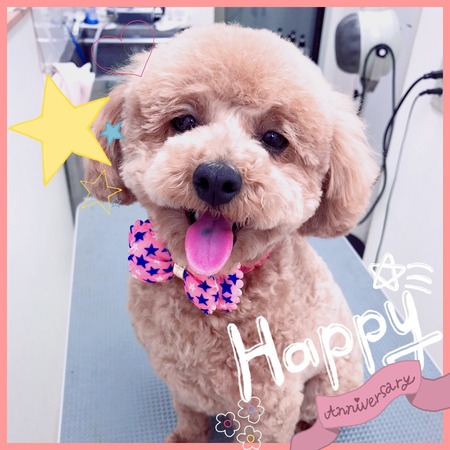 ２月１８日トリミング写真nap