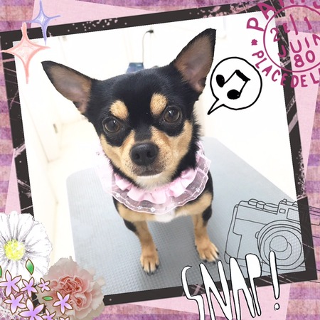 ２月２０日トリミング写真マル