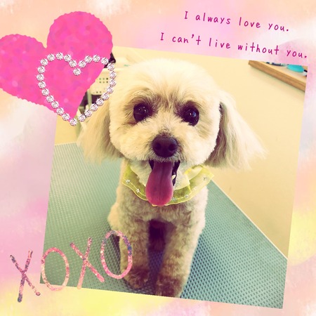 ２月２１日トリミング写真ポポロン