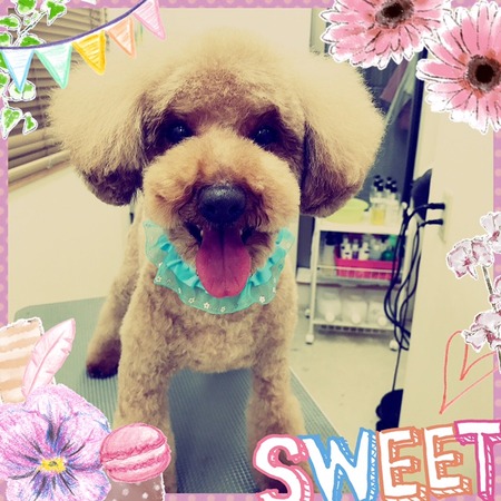 ２月２１日トリミング写真ベル