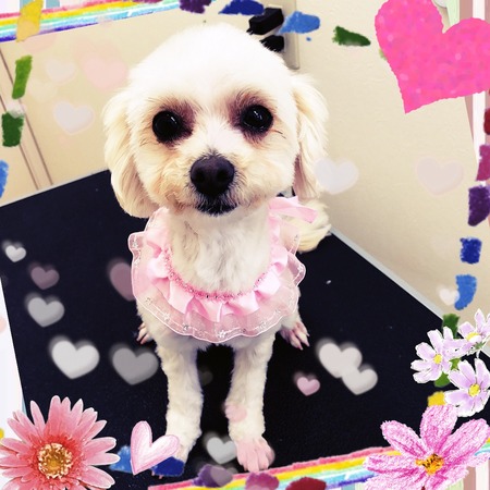 ２月２２日トリミング写真姫