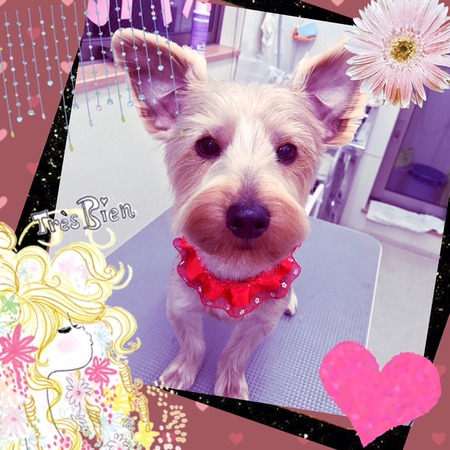 ２月２２日トリミング写真むぎ