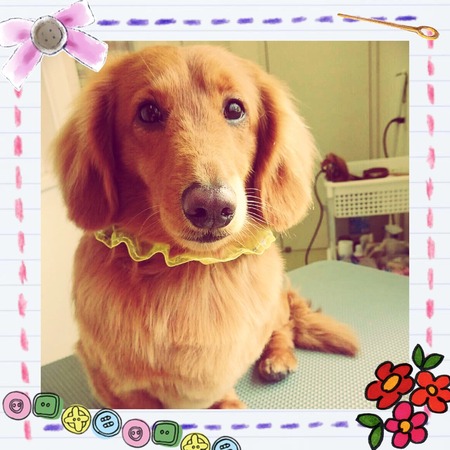 ２月２２日トリミング写真くぅ