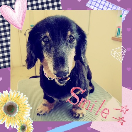 ２月２４日トリミング写真ルイ