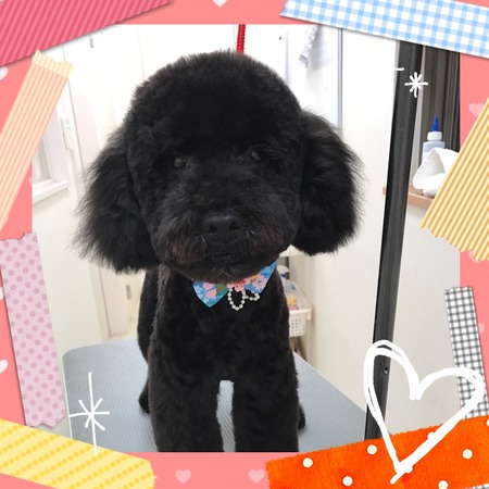 ２月２４日トリミング写真トト