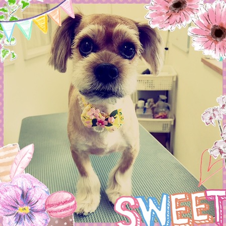 ２月２５日トリミング写真レオン