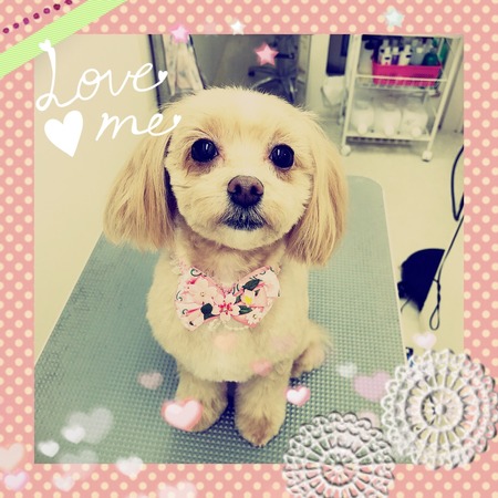 ２月２５日トリミング写真クゥ