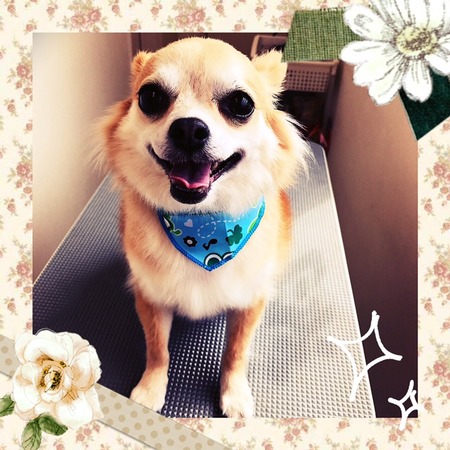 ３月２４日トリミング写真しょうた