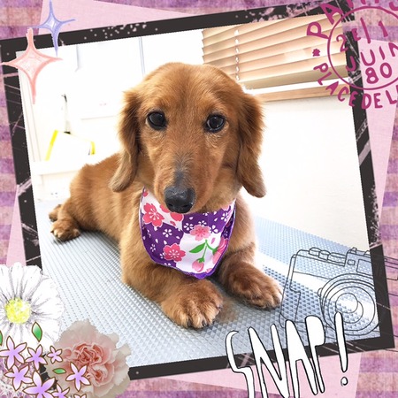 ３月２２日トリミング写真ジジ