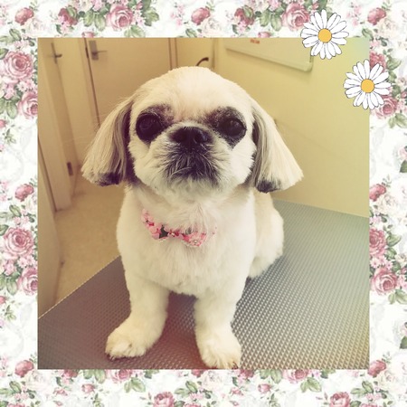 ３月３日トリミング写真姫