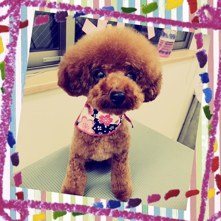 image1.JPG15.JPGのサムネイル画像