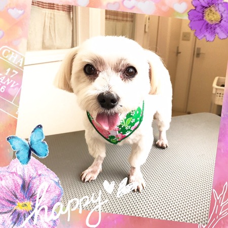 ３月７日トリミング写真カンタ