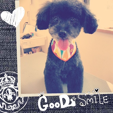 ３月１１日トリミング写真ゴウ