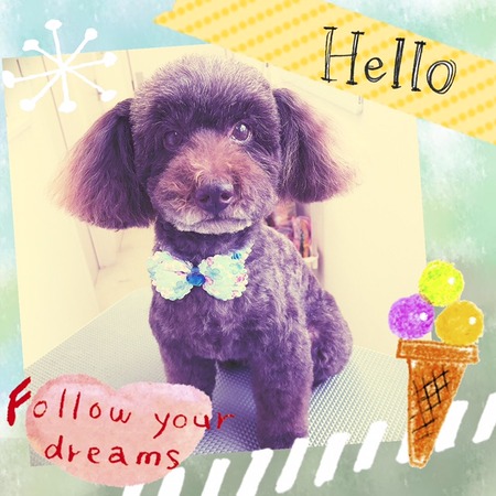 ３月１５日トリミング写真ムサシ