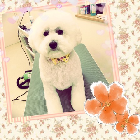 ２月２８日トリミング写真ピース