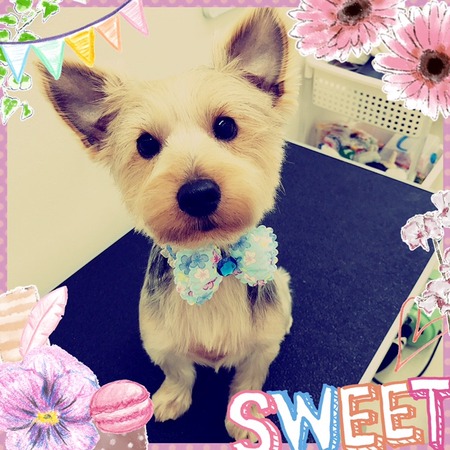 ３月２２日トリミング写真むぎ