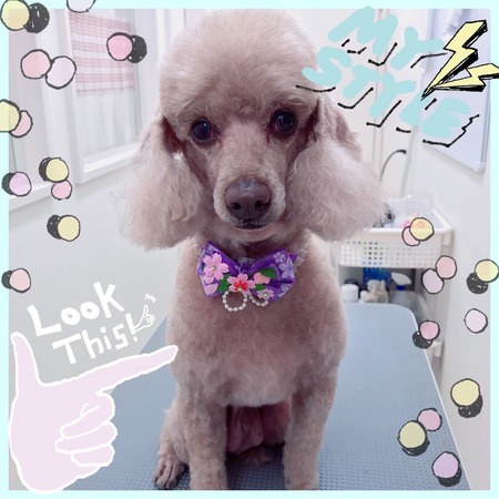 ３月３日トリミング写真クー