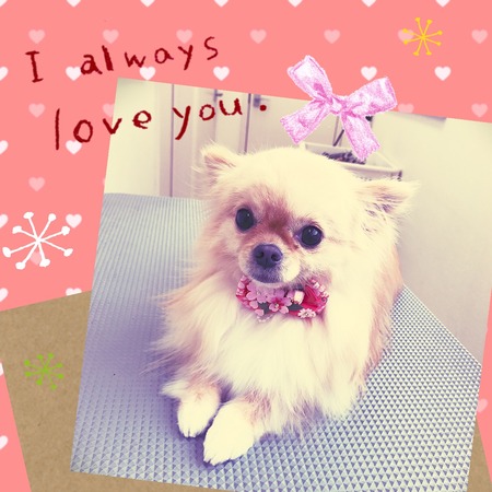 ３月６日トリミング写真ココア