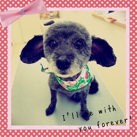 ３月７日トリミング写真ゴン