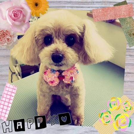 ３月１５日トリミング写真ポポロン