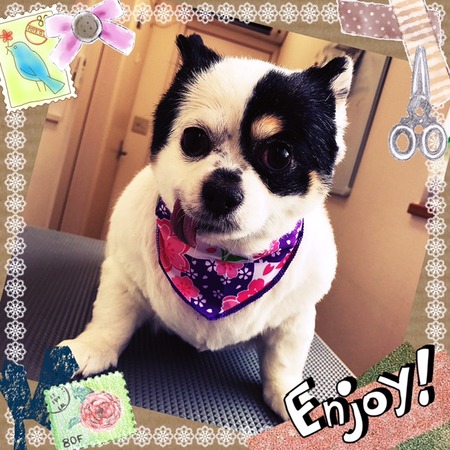 ３月４日トリミング写真ちょこら