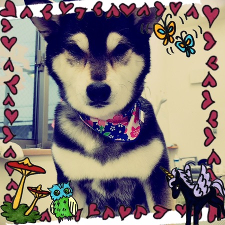 ３月６日トリミング写真小夏