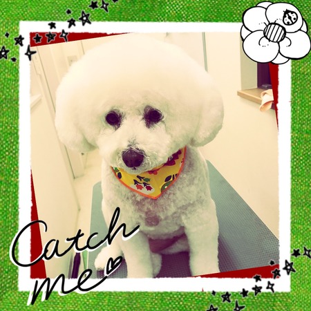 ３月７日トリミング写真ルル