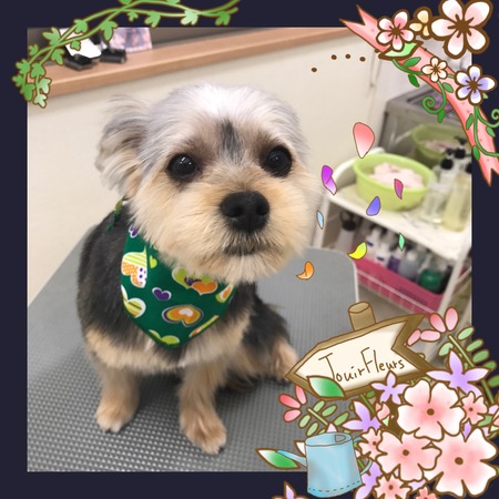 ３月８日トリミング写真ソラ