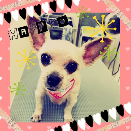 ３月１０日トリミング写真青空