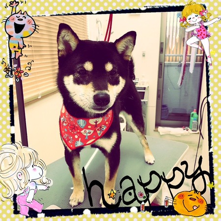 ３月１１日トリミング写真ハヤテ