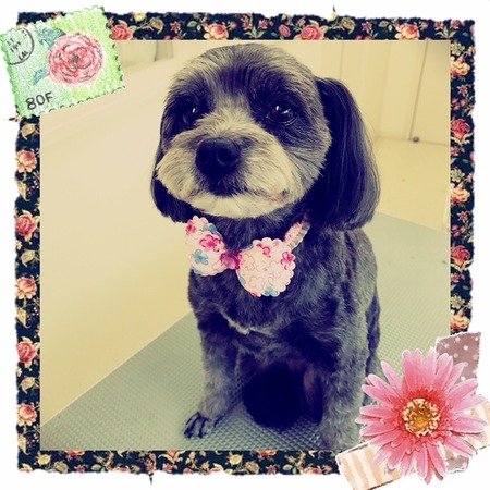 ３月１４日トリミング写真レナ