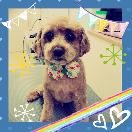 ３月１５日トリミング写真ぶり