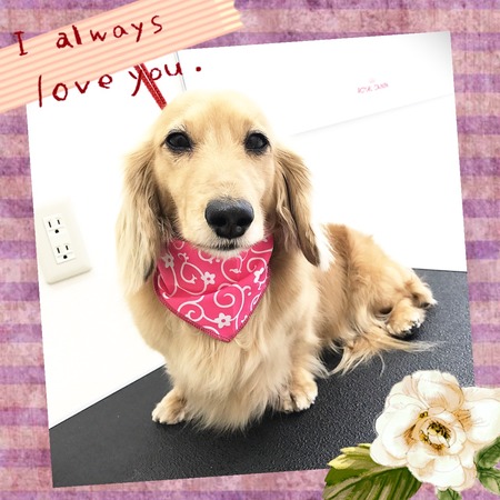 ３月１日トリミング写真プリン