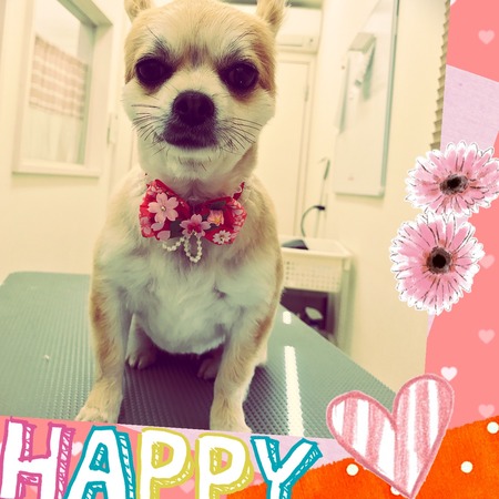 ３月４日トリミング写真ソラ