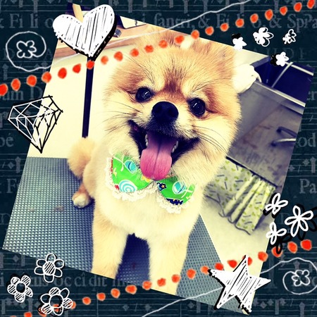 ３月１１日トリミング写真ぶん太