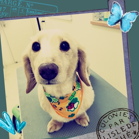 ２月２７日トリミング写真おあげ