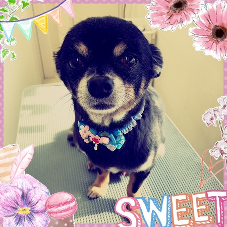 ３月１日トリミング写真コタロウ