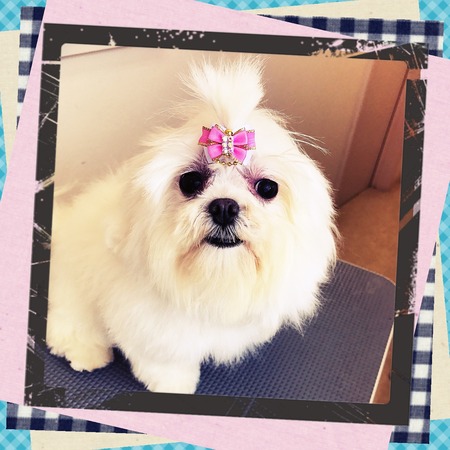 ２月２８日トリミング写真リン