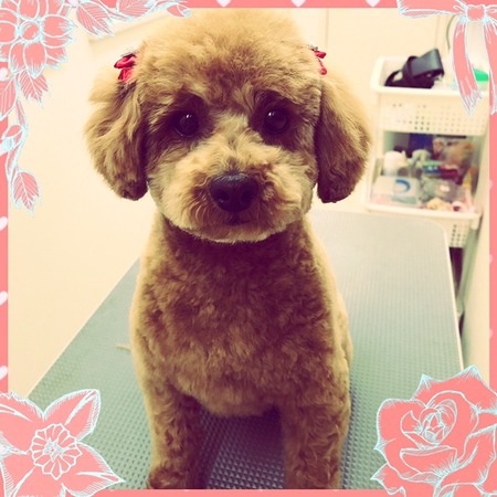 ３月１８日トリミング写真nap