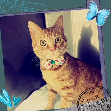 ３月２０日トリミング写真ラン